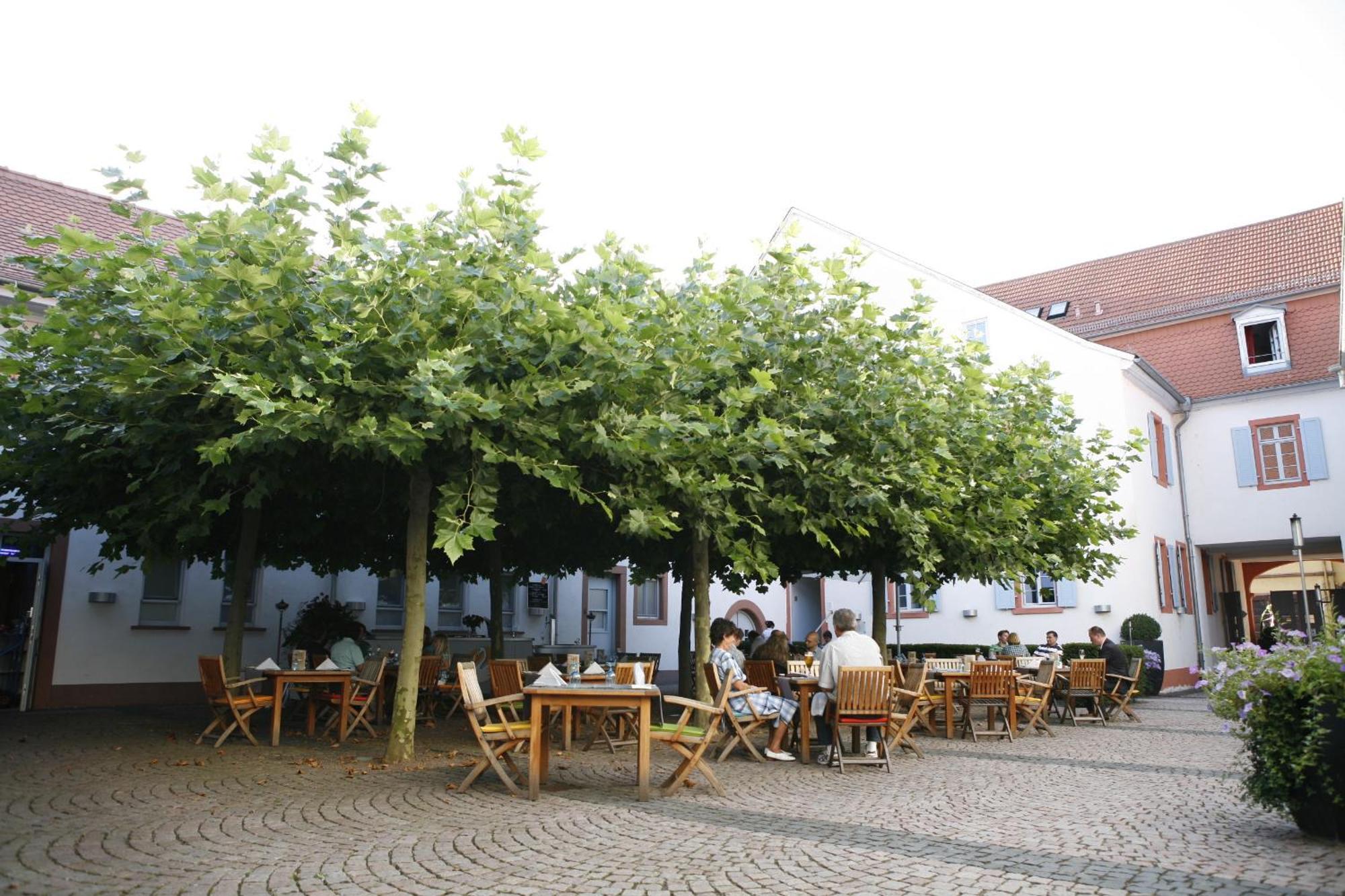 Landhotel Zum Schwanen Mit Restaurant Mona Liza Osthofen Exterior photo